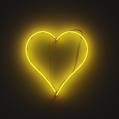 Heart480